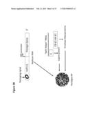 METHODS AND COMPOSITIONS TO PROTECT AQUATIC INVERTEBRATES FROM DISEASE diagram and image