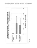 COMPOSITION CONTAINING HCMV PARTICLES diagram and image