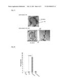 MUCOSAL VACCINES diagram and image