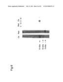 Novel Allergen diagram and image