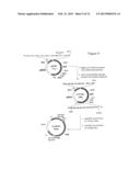 NEUTRALIZING FACTORS AS VACCINE ADJUVANTS diagram and image