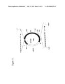 NEUTRALIZING FACTORS AS VACCINE ADJUVANTS diagram and image