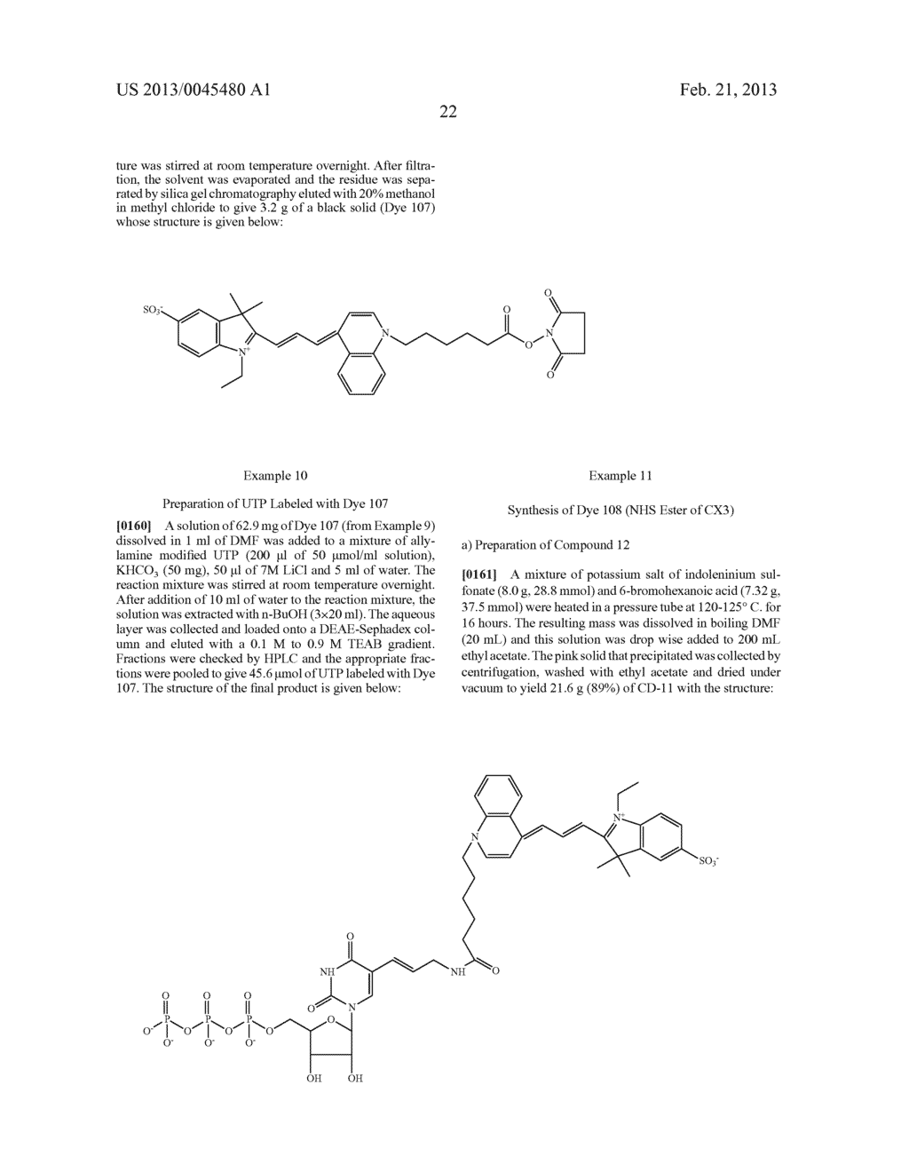 Novel dyes, composite dyes, and oligonucleotides or polynucleotides     comprising such dyes - useful or detection or quantification of desirable     target molecules - diagram, schematic, and image 28