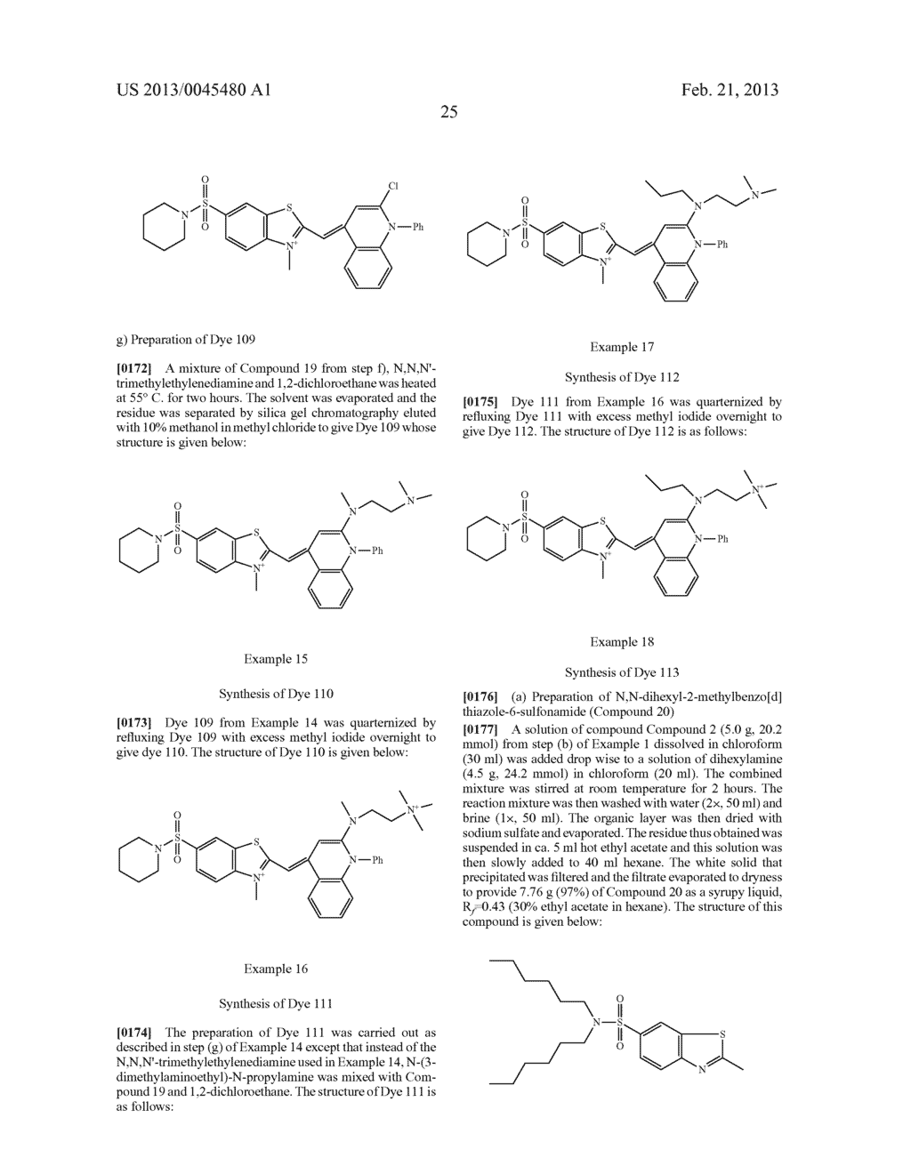 Novel dyes, composite dyes, and oligonucleotides or polynucleotides     comprising such dyes - useful or detection or quantification of desirable     target molecules - diagram, schematic, and image 31