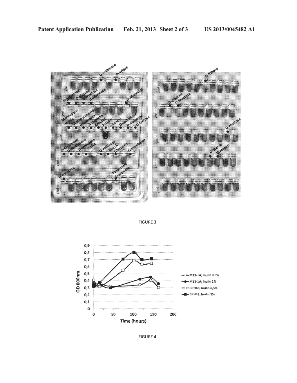 BACTERIA AND THE USES THEREOF - diagram, schematic, and image 03