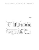 METHODS FOR ACTIVATING T CELLS diagram and image