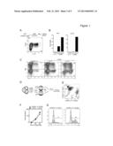 METHODS FOR ACTIVATING T CELLS diagram and image