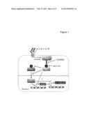 METHODS FOR ACTIVATING T CELLS diagram and image