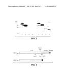 ELISA FOR VEGF diagram and image