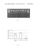 Mutagenesis Method diagram and image