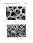 COMPOSITE OF POROUS SUBSTRATE AND ONE-DIMENSIONAL NANOMATERIAL AND METHOD     FOR PREPARING THE SAME, SURFACE-MODIFIED COMPOSITE AND METHOD FOR     PREPARING THE SAME diagram and image