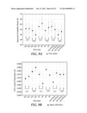 ANNEALED NANOSTRUCTURED THIN FILM CATALYST diagram and image