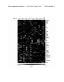 PEPTIDE AND PROTEIN BIOMARKERS FOR TYPE 1 DIABETES MELLITUS diagram and image