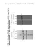 MULTI-COPY STRATEGY FOR HIGH-TITER AND HIGH-PURITY PRODUCTION OF     MULTI-SUBUNIT PROTEINS SUCH AS ANTIBODIES IN TRANSFORMED MICROBES SUCH AS     PICHIA PASTORIS diagram and image