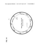 MULTI-COPY STRATEGY FOR HIGH-TITER AND HIGH-PURITY PRODUCTION OF     MULTI-SUBUNIT PROTEINS SUCH AS ANTIBODIES IN TRANSFORMED MICROBES SUCH AS     PICHIA PASTORIS diagram and image