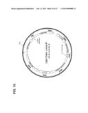 MULTI-COPY STRATEGY FOR HIGH-TITER AND HIGH-PURITY PRODUCTION OF     MULTI-SUBUNIT PROTEINS SUCH AS ANTIBODIES IN TRANSFORMED MICROBES SUCH AS     PICHIA PASTORIS diagram and image