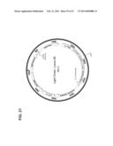 MULTI-COPY STRATEGY FOR HIGH-TITER AND HIGH-PURITY PRODUCTION OF     MULTI-SUBUNIT PROTEINS SUCH AS ANTIBODIES IN TRANSFORMED MICROBES SUCH AS     PICHIA PASTORIS diagram and image