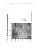 MULTI-COPY STRATEGY FOR HIGH-TITER AND HIGH-PURITY PRODUCTION OF     MULTI-SUBUNIT PROTEINS SUCH AS ANTIBODIES IN TRANSFORMED MICROBES SUCH AS     PICHIA PASTORIS diagram and image