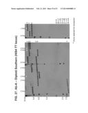 MULTI-COPY STRATEGY FOR HIGH-TITER AND HIGH-PURITY PRODUCTION OF     MULTI-SUBUNIT PROTEINS SUCH AS ANTIBODIES IN TRANSFORMED MICROBES SUCH AS     PICHIA PASTORIS diagram and image