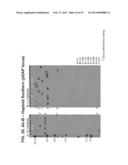 MULTI-COPY STRATEGY FOR HIGH-TITER AND HIGH-PURITY PRODUCTION OF     MULTI-SUBUNIT PROTEINS SUCH AS ANTIBODIES IN TRANSFORMED MICROBES SUCH AS     PICHIA PASTORIS diagram and image