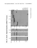 MULTI-COPY STRATEGY FOR HIGH-TITER AND HIGH-PURITY PRODUCTION OF     MULTI-SUBUNIT PROTEINS SUCH AS ANTIBODIES IN TRANSFORMED MICROBES SUCH AS     PICHIA PASTORIS diagram and image