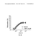 Uses of Natriuretic Peptide Constructs diagram and image