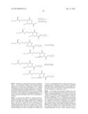 Uses of Natriuretic Peptide Constructs diagram and image