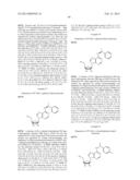 N6-SUBSTITUTED ADENOSINE DERIVATIVES AND N6-SUBSTITUTED ADENINE     DERIVATIVES AND USES THEREOF diagram and image