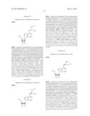 N6-SUBSTITUTED ADENOSINE DERIVATIVES AND N6-SUBSTITUTED ADENINE     DERIVATIVES AND USES THEREOF diagram and image