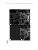 PLA2ACTIVITY AS A MARKER FOR OVARIAN AND OTHER GYNECOLOGIC CANCERS diagram and image