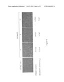 COMPOUNDS FOR MODULATING INTEGRIN CDIIb/CDI8 diagram and image