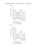 PHARMACEUTICAL COMPOSITION FOR INHIBITING APOPTOSIS OF NEURON OR     NEURODEGENERATION diagram and image