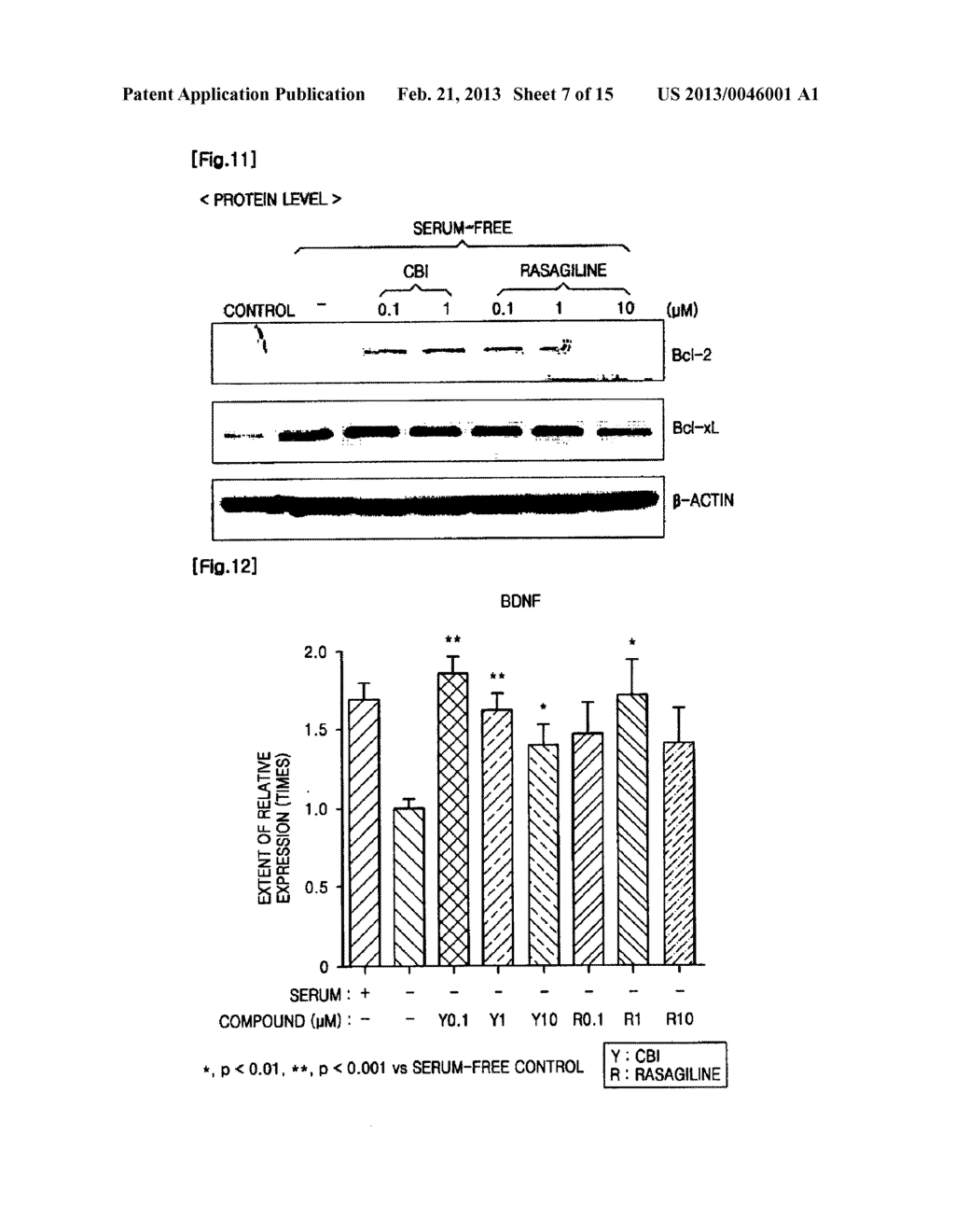 PHARMACEUTICAL COMPOSITION FOR INHIBITING APOPTOSIS OF NEURON OR     NEURODEGENERATION - diagram, schematic, and image 08