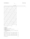 FULLY HUMAN MONOCLONAL ANTIBODY TO VEGF, PREPARATION METHOD AND USE     THEREOF diagram and image