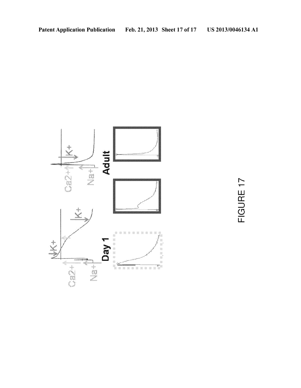 METHODS OF GENERATING ENGINEERED INNERVATED TISSUE AND USES THEREOF - diagram, schematic, and image 18