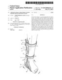 APPARATUS FOR AN ADJUSTABLE CUSTOM MOLDED ARCH SUSPENSION SYSTEM diagram and image