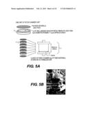 IMMUNOACTIVATION BLOOD PERFUSION FILTER FOR THE TREATMENT OF MALIGNANT     TUMORS diagram and image