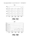 IMMUNOACTIVATION BLOOD PERFUSION FILTER FOR THE TREATMENT OF MALIGNANT     TUMORS diagram and image