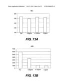 IMMUNOACTIVATION BLOOD PERFUSION FILTER FOR THE TREATMENT OF MALIGNANT     TUMORS diagram and image