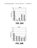 IMMUNOACTIVATION BLOOD PERFUSION FILTER FOR THE TREATMENT OF MALIGNANT     TUMORS diagram and image