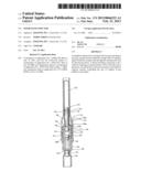 NEEDLELESS INJECTOR diagram and image