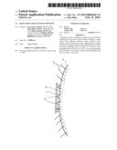 Depilatory Article with Substrate diagram and image