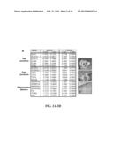 METHODS OF USING AGENTS THAT MODULATE CLAUDIN EXPRESSION diagram and image