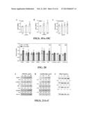 METHODS OF USING AGENTS THAT MODULATE CLAUDIN EXPRESSION diagram and image