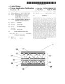 WATER-ABSORBENT SHEET STRUCTURE diagram and image