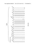 ABLATION APPARATUS AND SYSTEM TO LIMIT NERVE CONDUCTION diagram and image