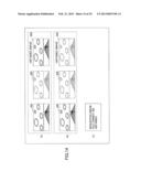 NETWORK SYSTEM AND IMAGE PROJECTION APPARATUS diagram and image