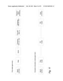 Ultrasonic Flow Meter diagram and image