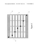 LIGHTING MODULE HAVING A COMMON TERMINAL diagram and image