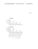 COMPOSITIONS AND METHODS FOR PREVENTING OR TREATING A HUMAN PARVOVIRUS     INFECTION diagram and image